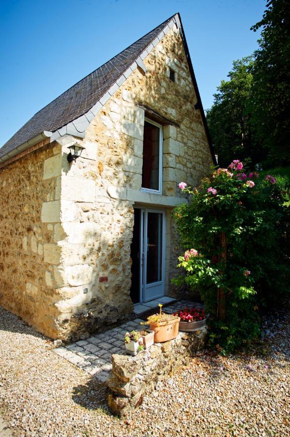 Domaine De La Juranvillerie, Gite Et Chambres D'Hotes Rigny-Ussé Buitenkant foto